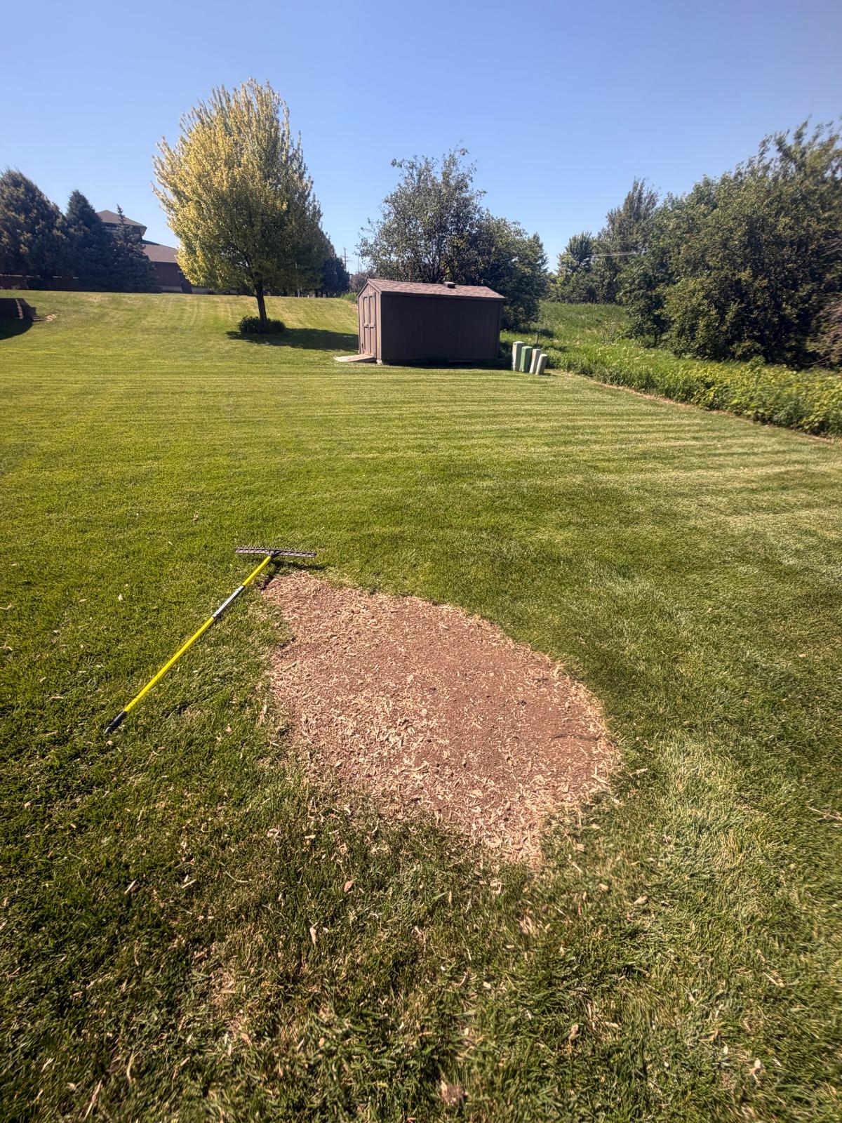 Same Backyard — After