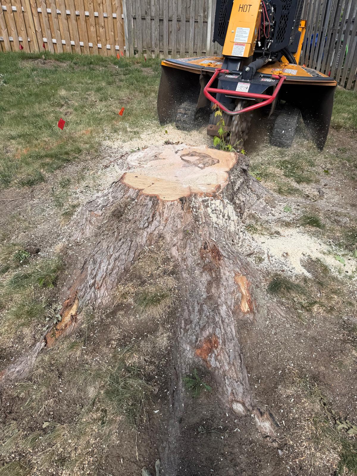 Stump Grinding