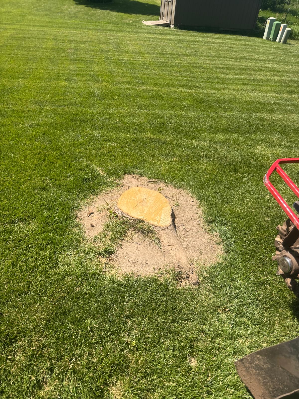 Deep stump grinding for landscaping in Omaha