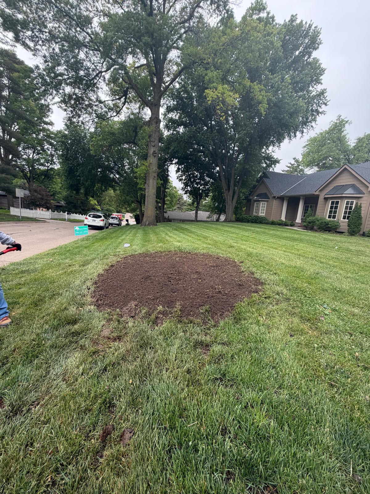 Tree trimming and pruning services