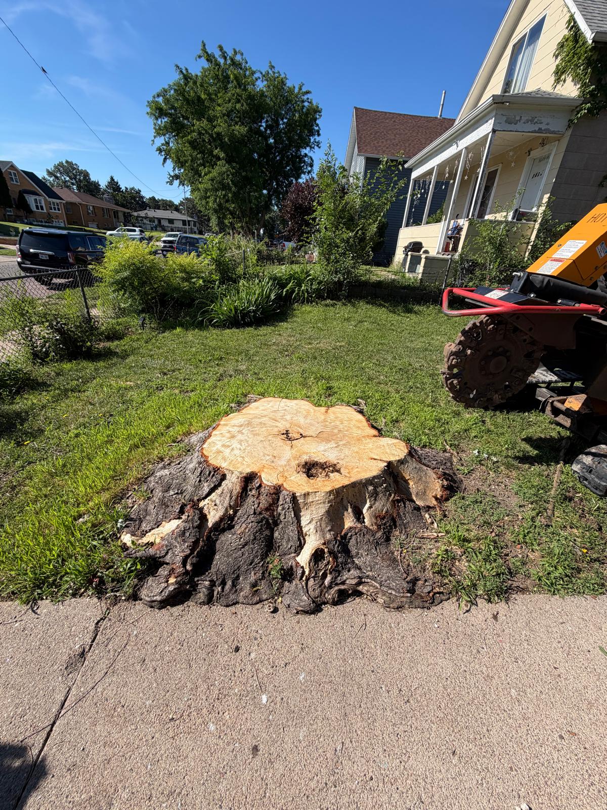 Deep Stump Grinding